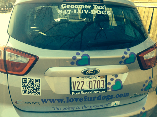 I'm Going To The Groomer - The Love Fur Dogs Pet Taxi